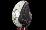 Septarian Dragon Egg Geode - Black Crystals #88510-1